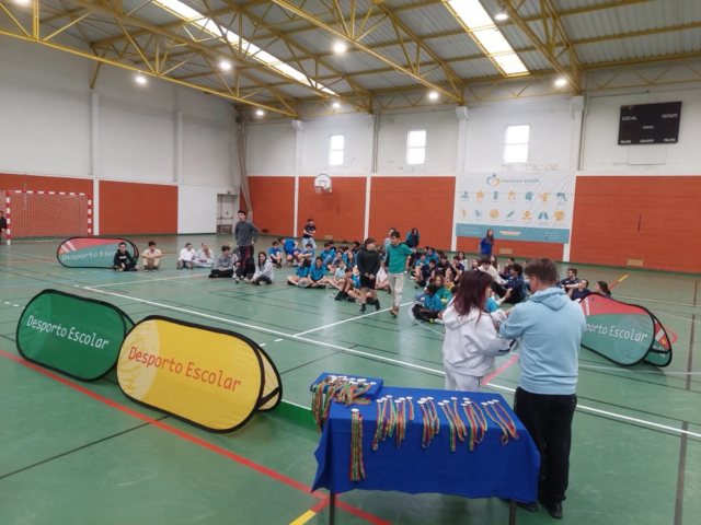 badminton1