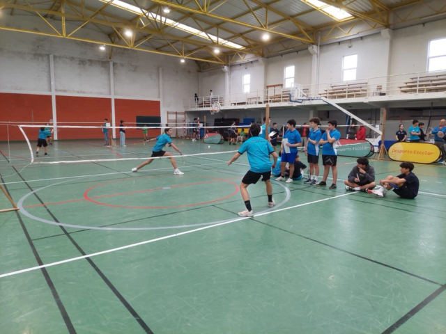 badminton2